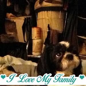 Meet your Posher, Alicia